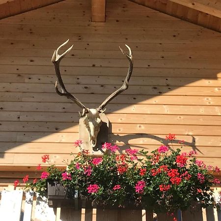 Alpenlodge Kirchbach Kirchbach  Екстериор снимка