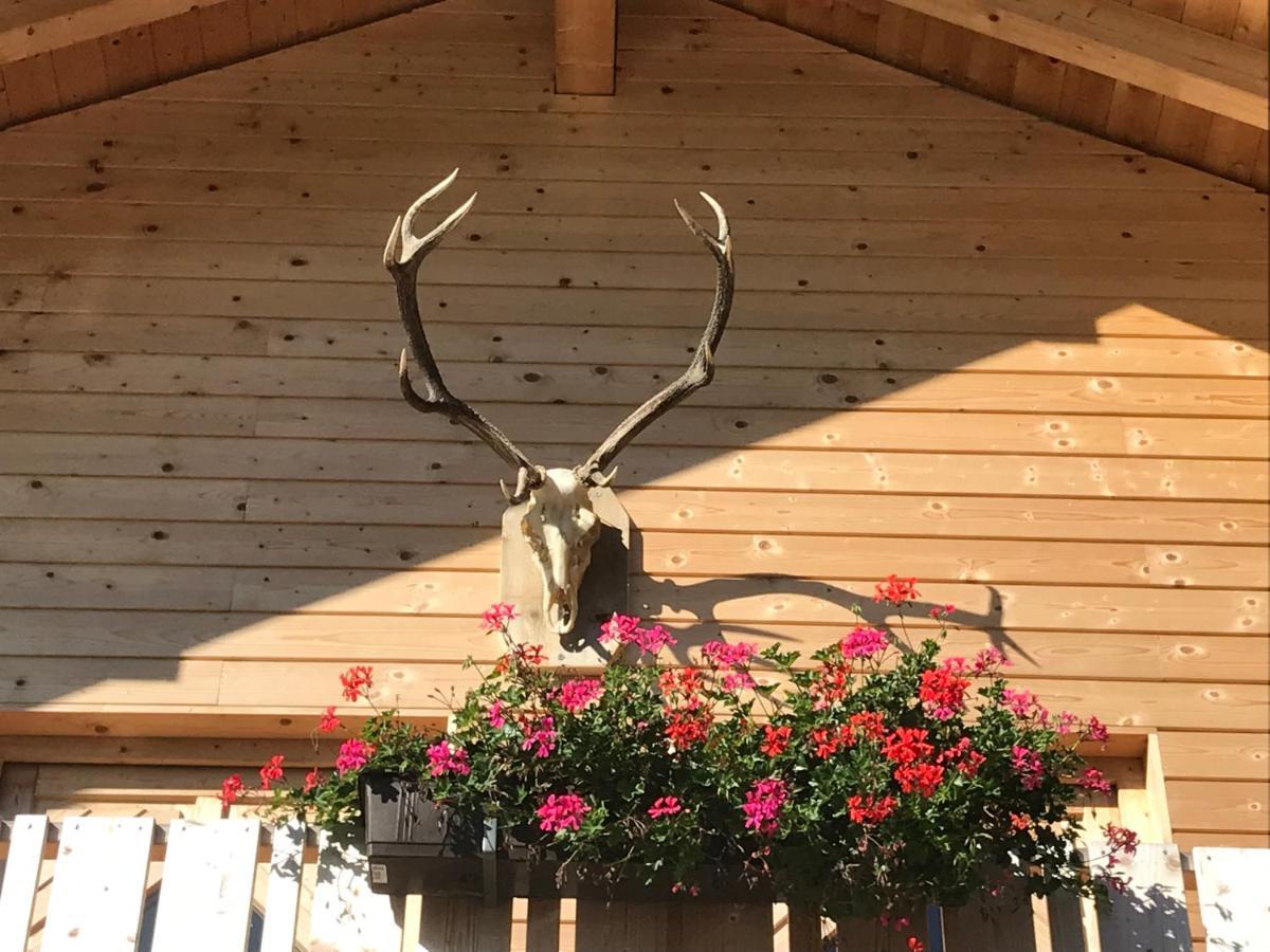 Alpenlodge Kirchbach Kirchbach  Екстериор снимка