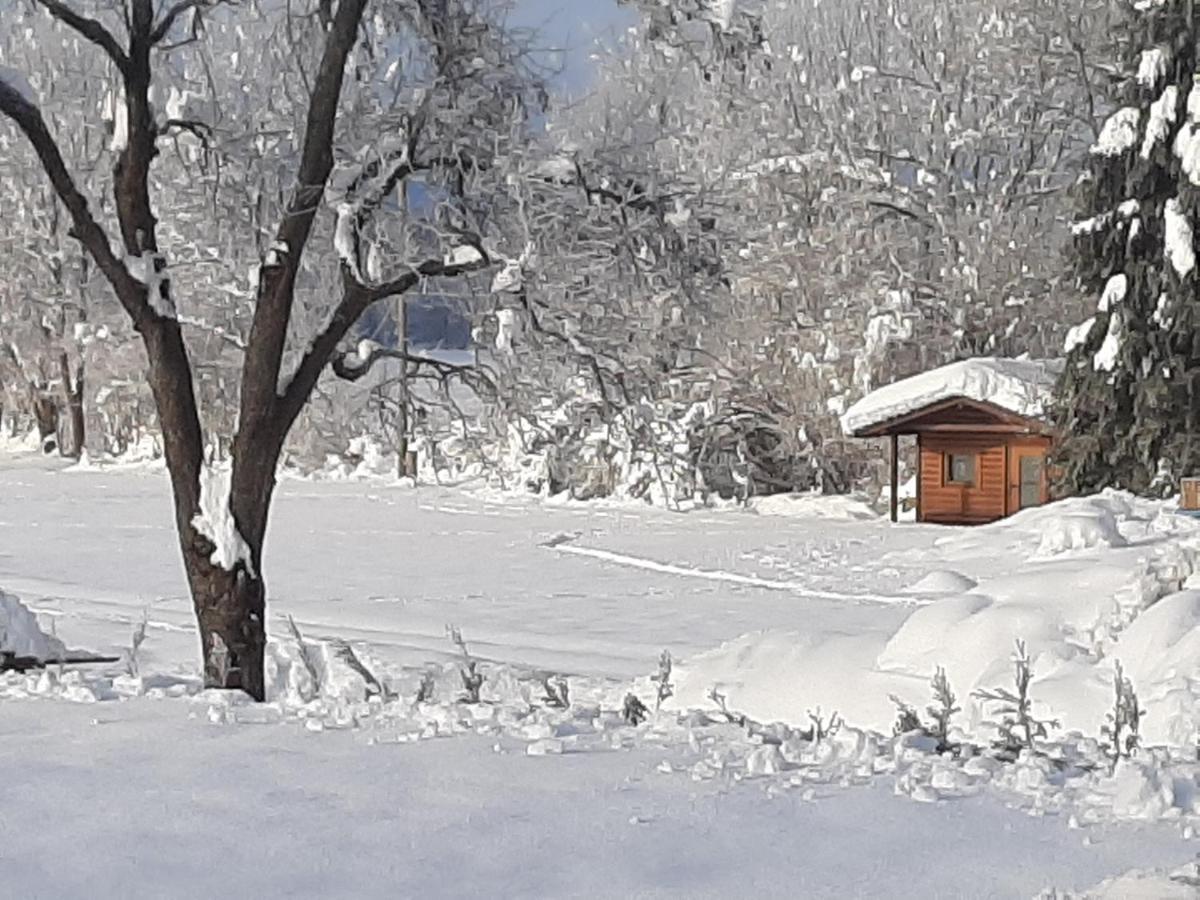 Alpenlodge Kirchbach Kirchbach  Екстериор снимка