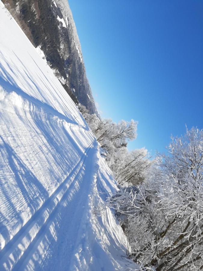 Alpenlodge Kirchbach Kirchbach  Екстериор снимка