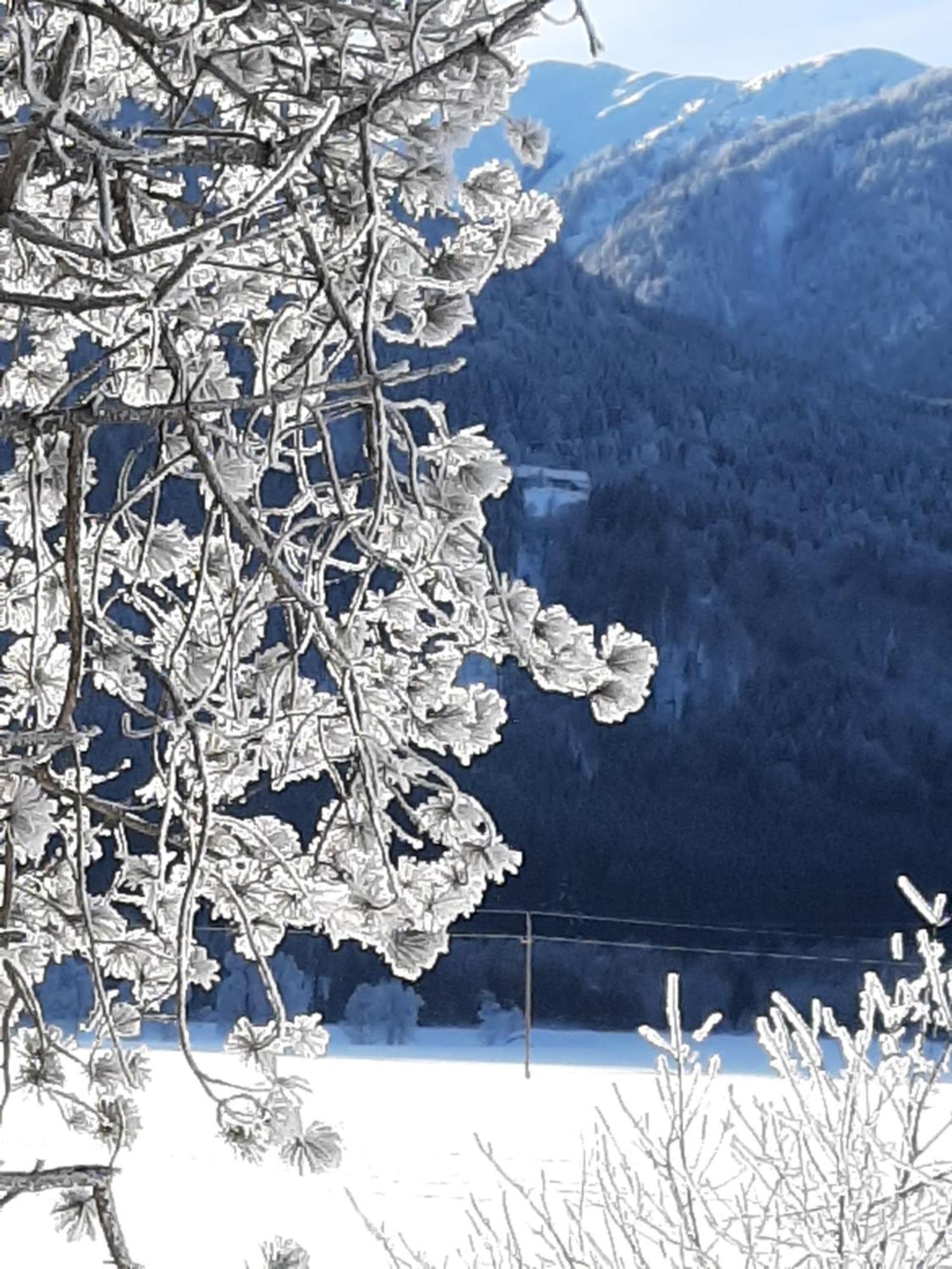 Alpenlodge Kirchbach Kirchbach  Екстериор снимка