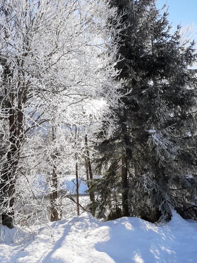 Alpenlodge Kirchbach Kirchbach  Екстериор снимка