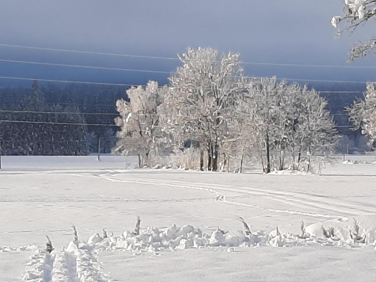 Alpenlodge Kirchbach Kirchbach  Екстериор снимка