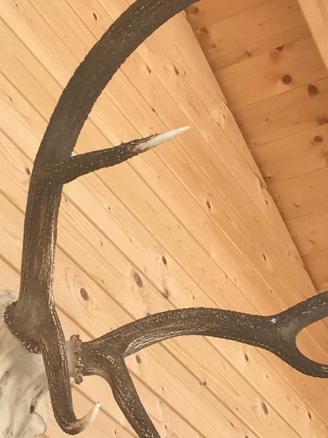 Alpenlodge Kirchbach Kirchbach  Екстериор снимка